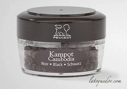 Recharge poivre noir Kampot Zanzibar Peugeot