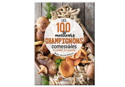 Les 100 meilleurs champignons comestibles