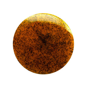 Extrait liquide de vanille Bourbon de Madagascar - 100 ml