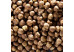 Noisette entière décortiquée Piemont