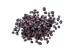 Raisin sec de Corinthe