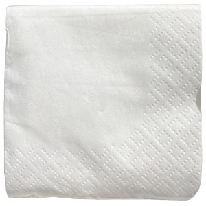 Serviette ouate blanche 2 plis - 30x30 cm (x100)