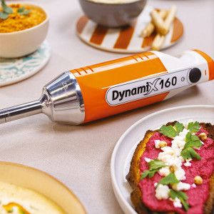 Mini mixeur professionnel Dynamix 220W