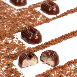 Moule &agrave; chocolat copolyester 20 biscuits - Martellato