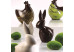 Moule à chocolat 3D à pinces forme lapin Bunny - Martellato